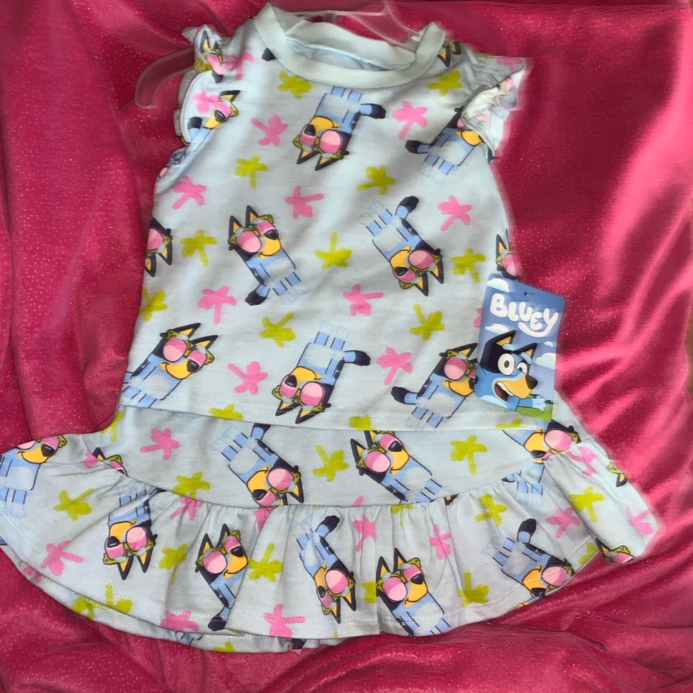 Bluey Kids top and Skort 2 T with Colorful Print NWT